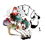 Ilustraciones de 'Alice in Wonderland'