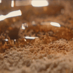 Campaña 'Elevate your every meal' de la marca de aceite Bertolli.