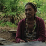 La Amazonia (re)imaginada
