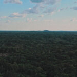 La Amazonia (re)imaginada