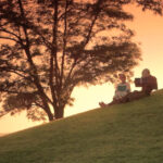 Para acompañar al álbum de Zahara, 'La pareja tóxica', se realizó un cortometraje con el nombre 'El leñador y la mujer américa'.