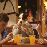 How to dinner with friends in love
