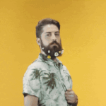 Postureo Malibú