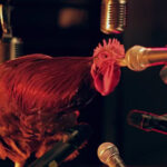 Promo audiovisual de las batallas de gallos de Red Bull.