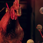 Promo audiovisual de las batallas de gallos de Red Bull.