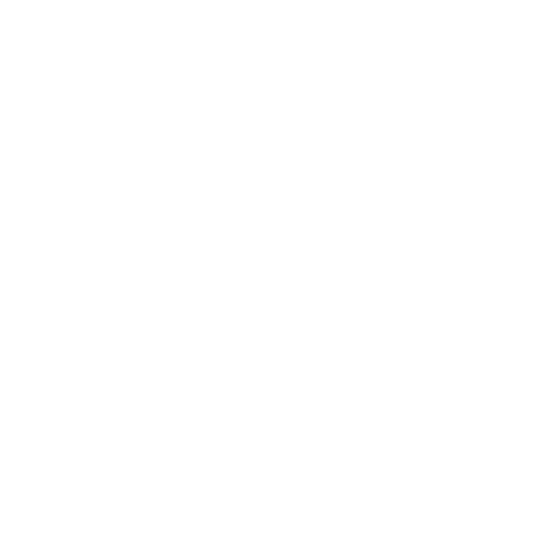TOYS'R'US